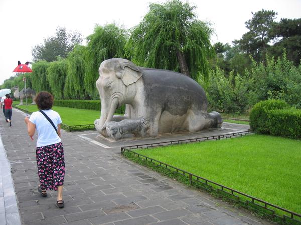 img_1765