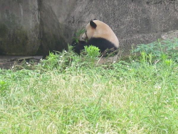 img_1885