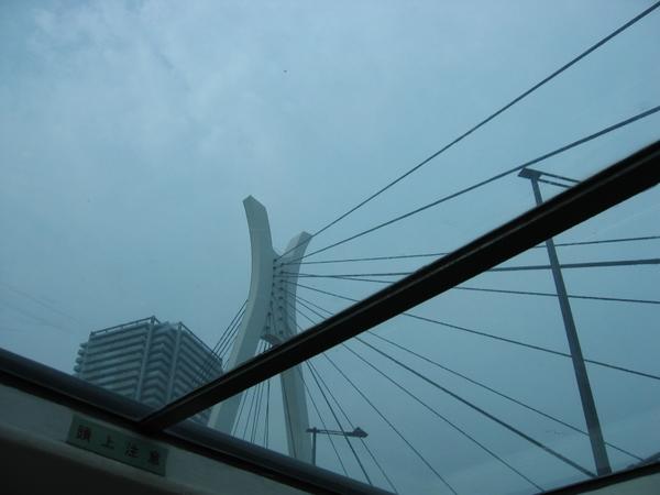 img_2501